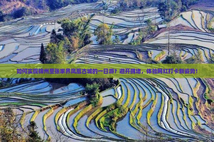 如何实现锦州至张家界凤凰古城的一日游？避开拥堵，体验网红打卡新姿势！