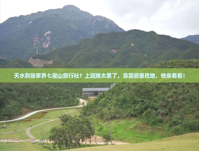 天水到张家界七星山旅行社？上班族太累了，急需避暑胜地，快来看看！