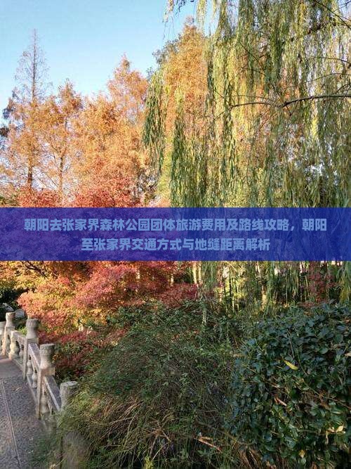 朝阳去张家界森林公园团体旅游费用及路线攻略，朝阳至张家界交通方式与地缝距离解析