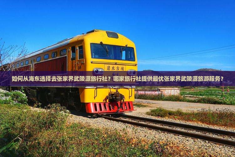 如何从海东选择去张家界武陵源旅行社？哪家旅行社提供最优张家界武陵源旅游服务？