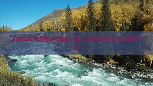 大连出发畅游张家界森林公园：旅游攻略与必去景点一览