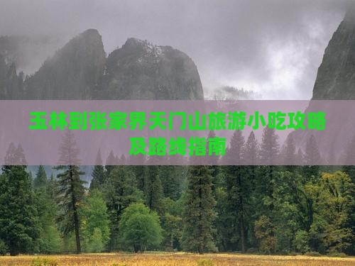 玉林到张家界天门山旅游小吃攻略及路线指南