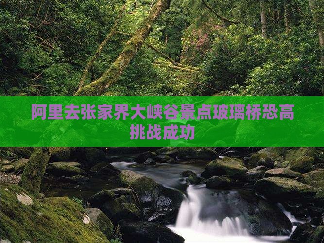 阿里去张家界大峡谷景点玻璃桥恐高挑战成功