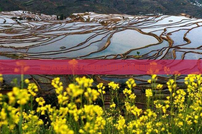 眉山去张家界天子山旅游小吃攻略及经典路线推荐