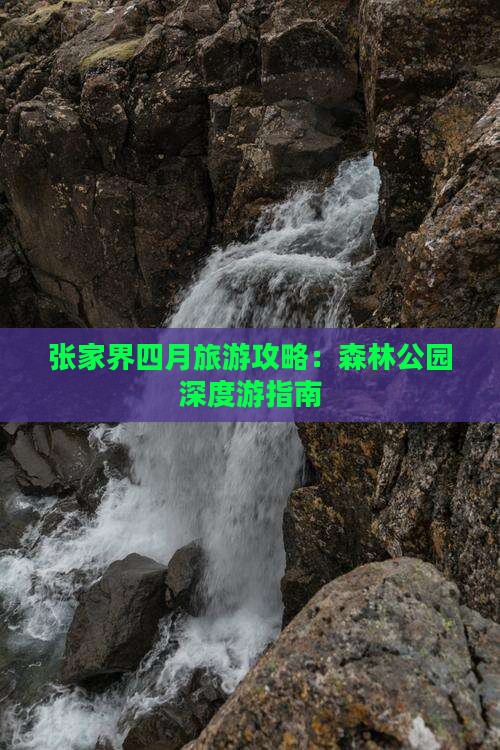 张家界四月旅游攻略：森林公园深度游指南