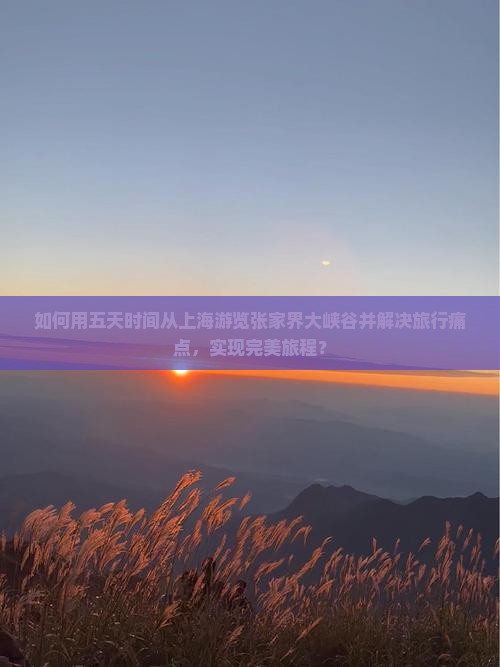 如何用五天时间从上海游览张家界大峡谷并解决旅行痛点，实现完美旅程？