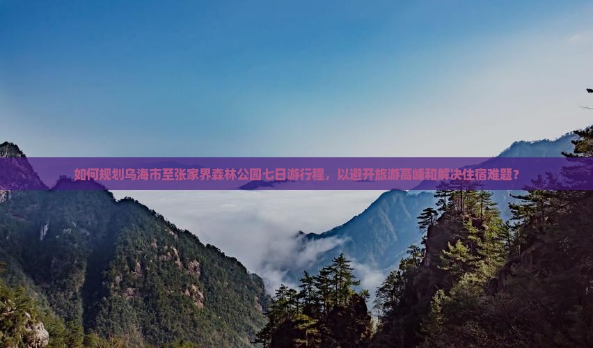 如何规划乌海市至张家界森林公园七日游行程，以避开旅游高峰和解决住宿难题？