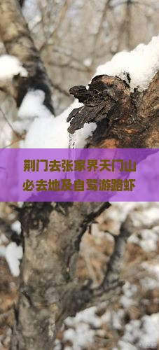 荆门去张家界天门山必去地及自驾游路虾荆门至天门山距离与行车时间指南