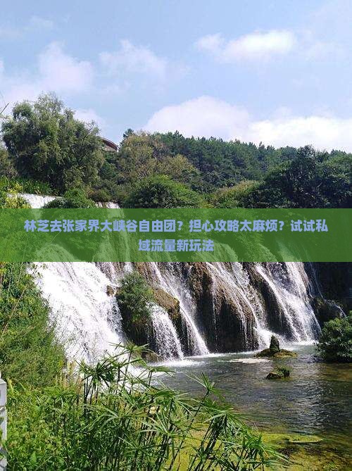 林芝去张家界大峡谷自由团？担心攻略太麻烦？试试私域流量新玩法