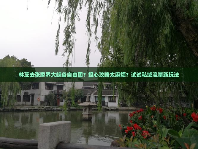 林芝去张家界大峡谷自由团？担心攻略太麻烦？试试私域流量新玩法