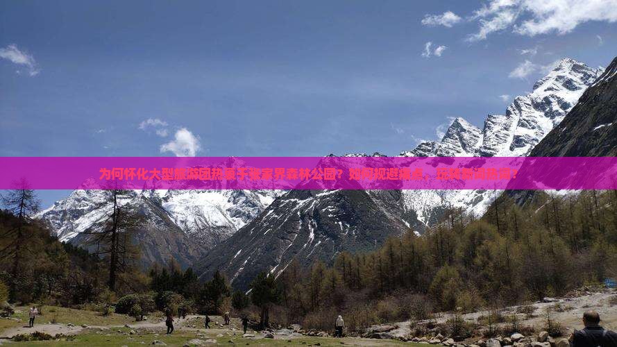 为何怀化大型旅游团热衷于张家界森林公园？如何规避痛点，玩转新词热词？