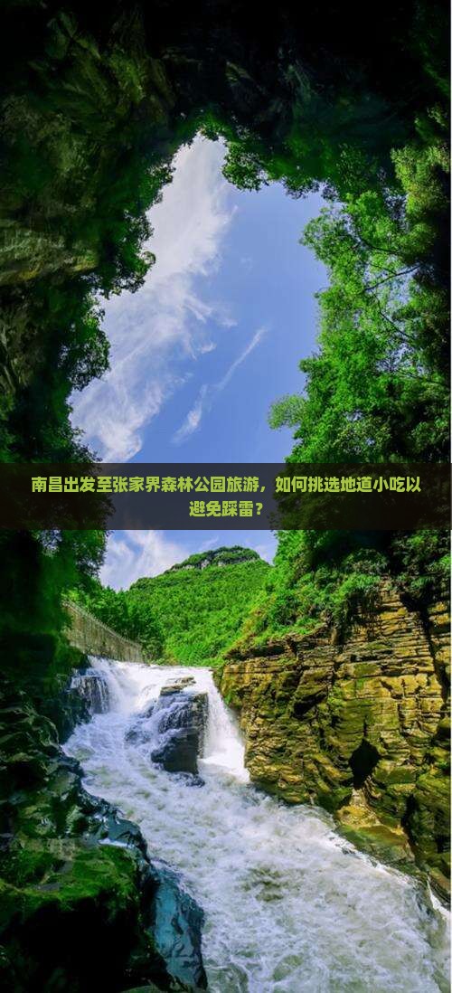 南昌出发至张家界森林公园旅游，如何挑选地道小吃以避免踩雷？