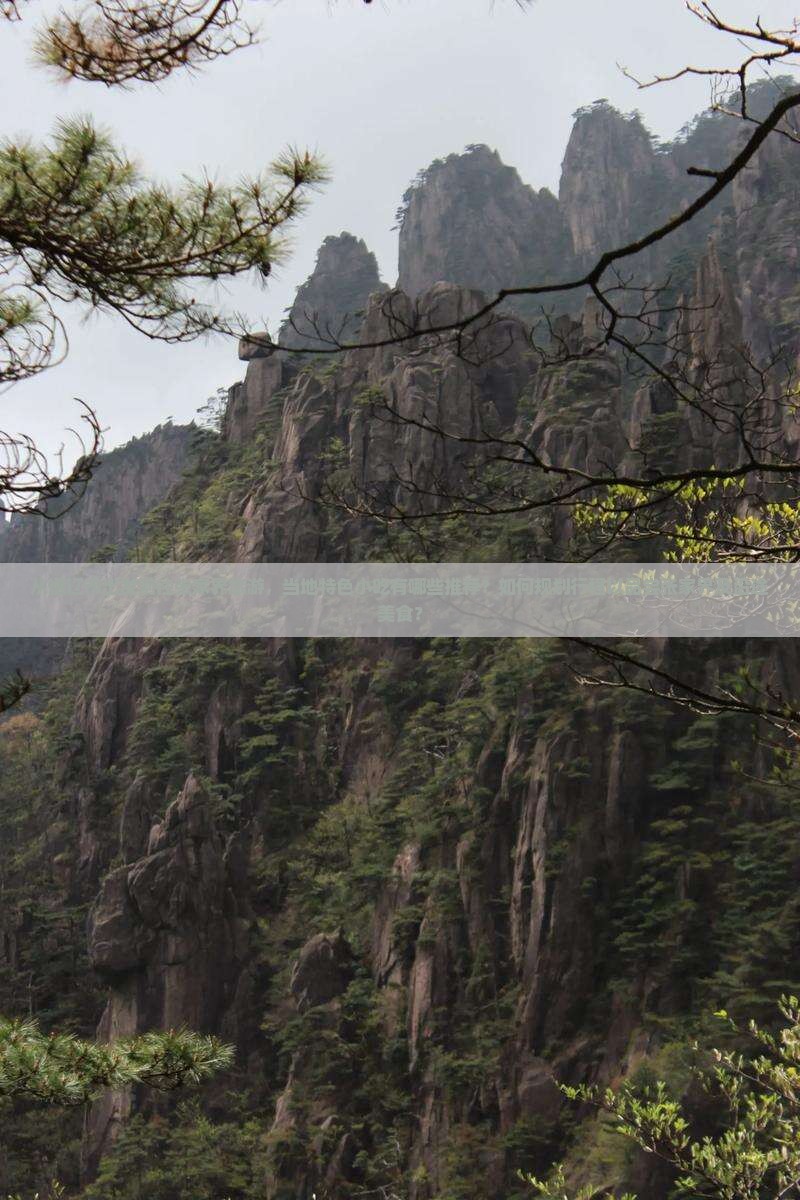 从通辽市出发前往张家界旅游，当地特色小吃有哪些推荐？如何规划行程以品尝张家界及沿途美食？