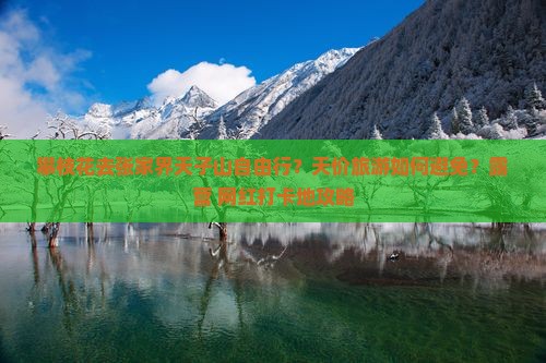 攀枝花去张家界天子山自由行？天价旅游如何避免？露营+网红打卡地攻略