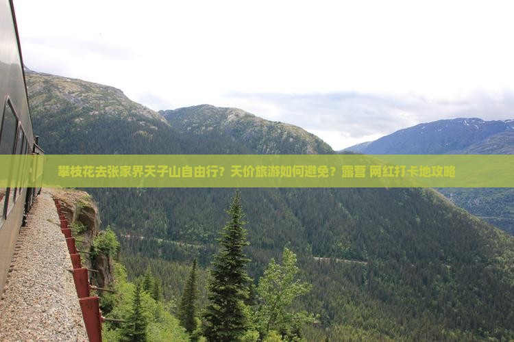 攀枝花去张家界天子山自由行？天价旅游如何避免？露营+网红打卡地攻略
