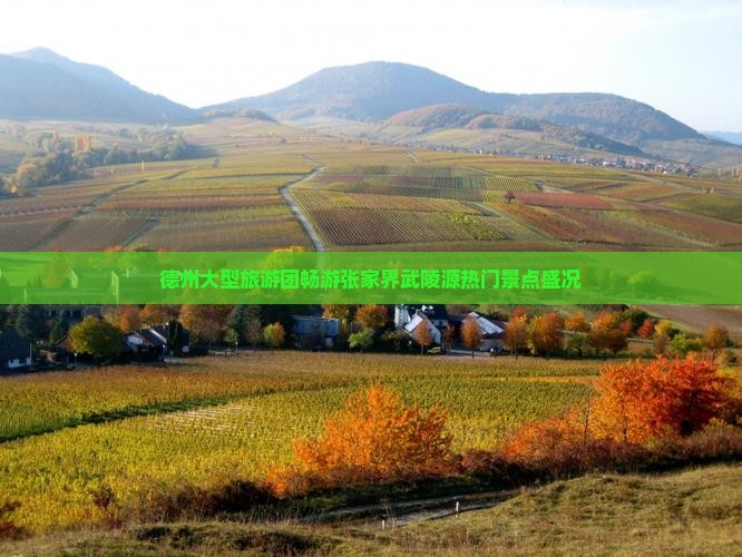 德州大型旅游团畅游张家界武陵源热门景点盛况