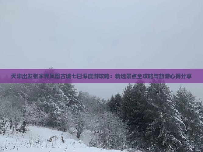 天津出发张家界凤凰古城七日深度游攻略：精选景点全攻略与旅游心得分享