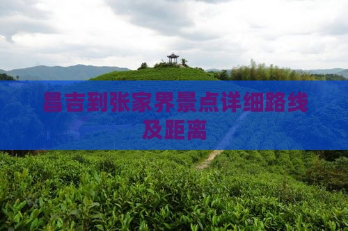 昌吉到张家界景点详细路线及距离
