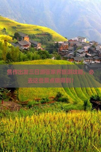 焦作出发三日游张家界旅游攻略，必去这些景点做得到！