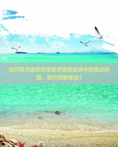 如何解决迪庆到张家界团体旅游中的痛点问题，提升游客体验？