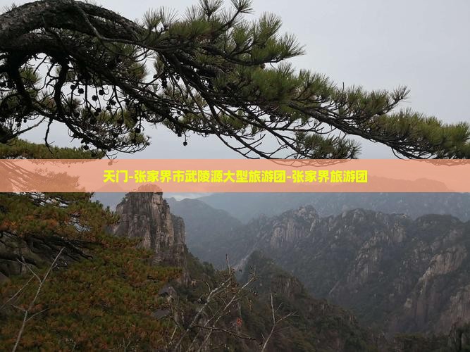 天门-张家界市武陵源大型旅游团-张家界旅游团