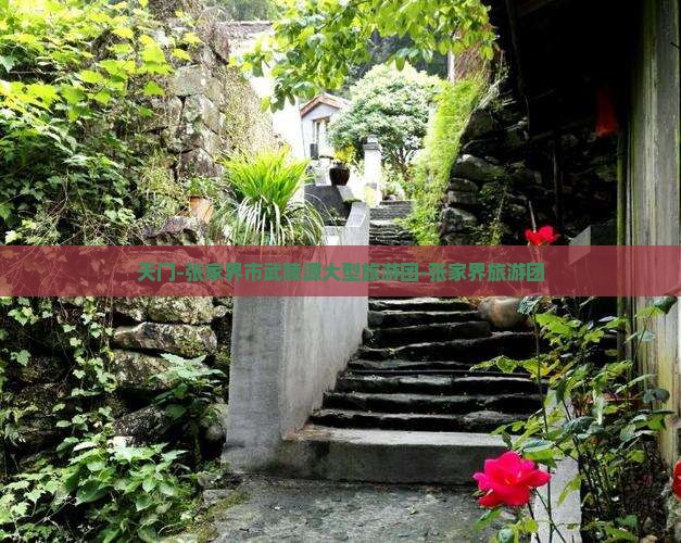天门-张家界市武陵源大型旅游团-张家界旅游团
