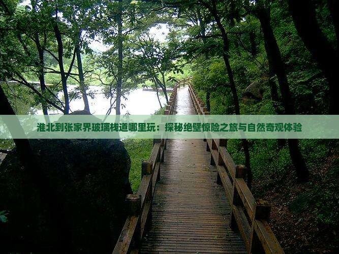 淮北到张家界玻璃栈道哪里玩：探秘绝壁惊险之旅与自然奇观体验