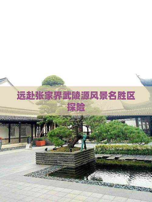远赴张家界武陵源风景名胜区探险