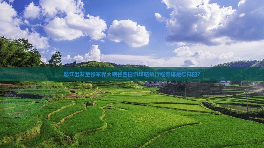 怒江出发至张家界大峡谷四日游攻略及行程安排是怎样的？