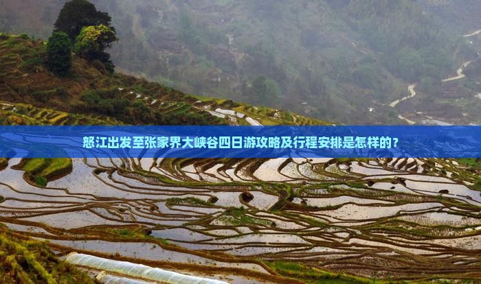 怒江出发至张家界大峡谷四日游攻略及行程安排是怎样的？