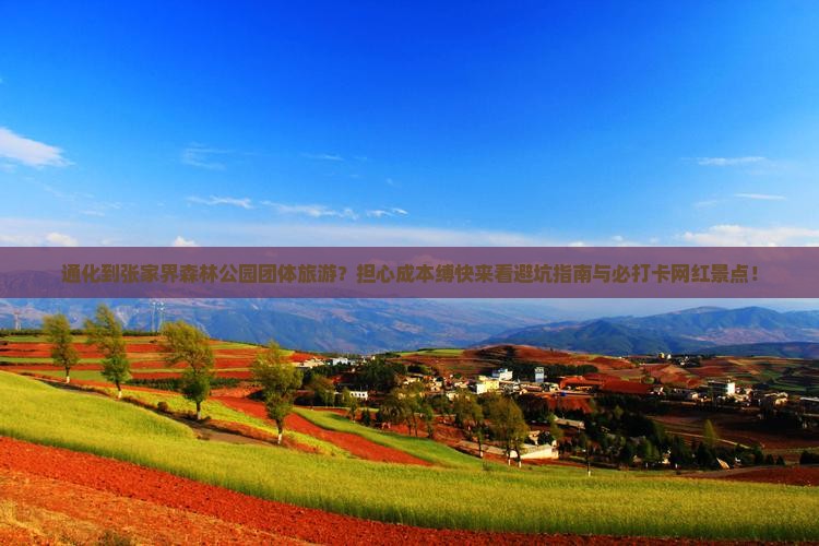 通化到张家界森林公园团体旅游？担心成本缚快来看避坑指南与必打卡网红景点！