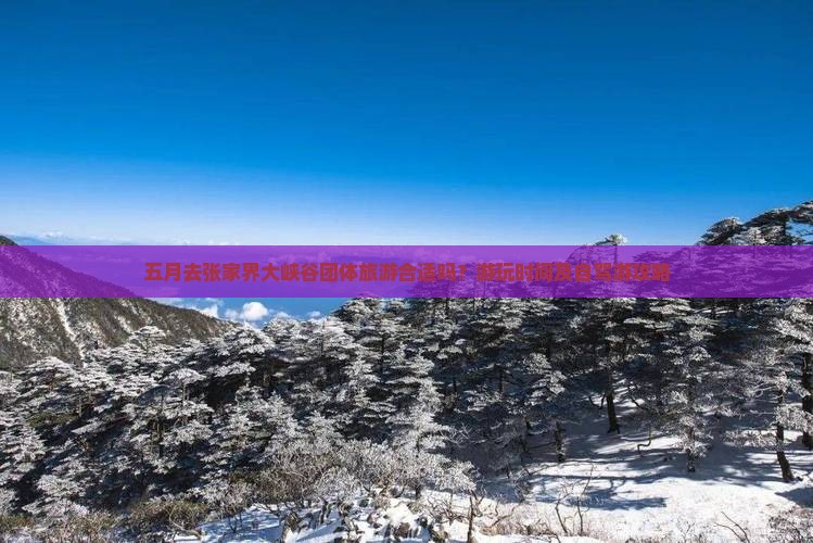 五月去张家界大峡谷团体旅游合适吗？游玩时间及自驾游攻略