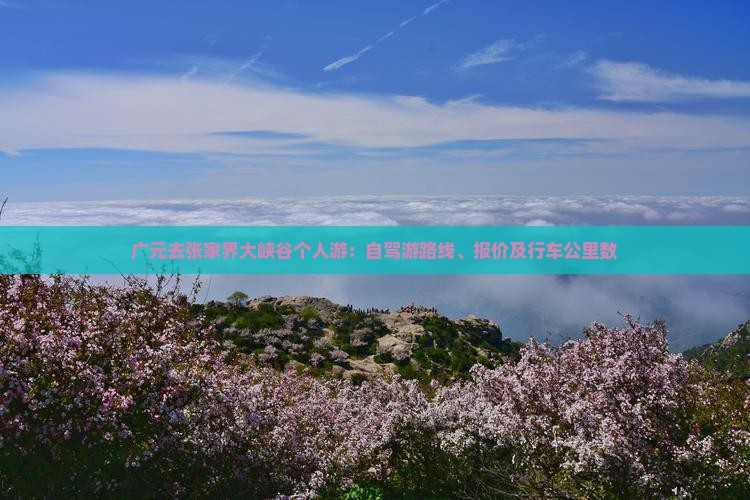 广元去张家界大峡谷个人游：自驾游路线、报价及行车公里数