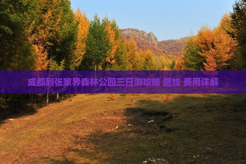 成都到张家界森林公园三日游攻略+路线+费用详解