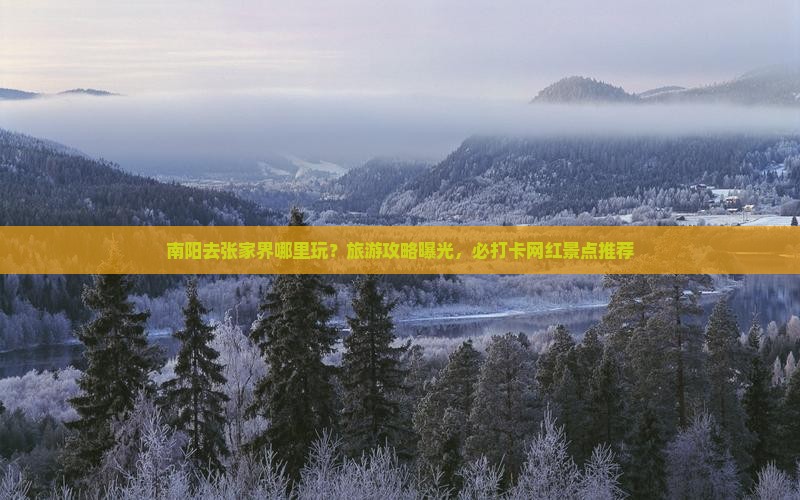 南阳去张家界哪里玩？旅游攻略曝光，必打卡网红景点推荐