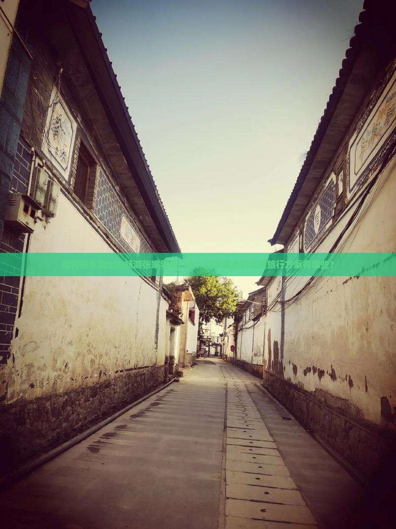如何在东营出发畅游张家界天门山?探索痛点的完美旅行方案有哪些? 如何在东营出发畅游张家界天门山?探索痛点的完美旅行方案有哪些?