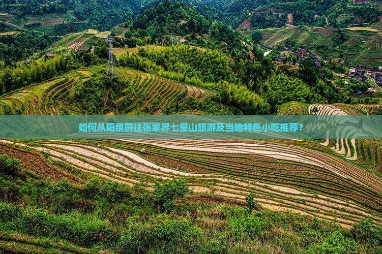 如何从阳泉前往张家界七星山旅游及当地特色小吃推荐? 如何从阳泉前往张家界七星山旅游及当地特色小吃推荐?