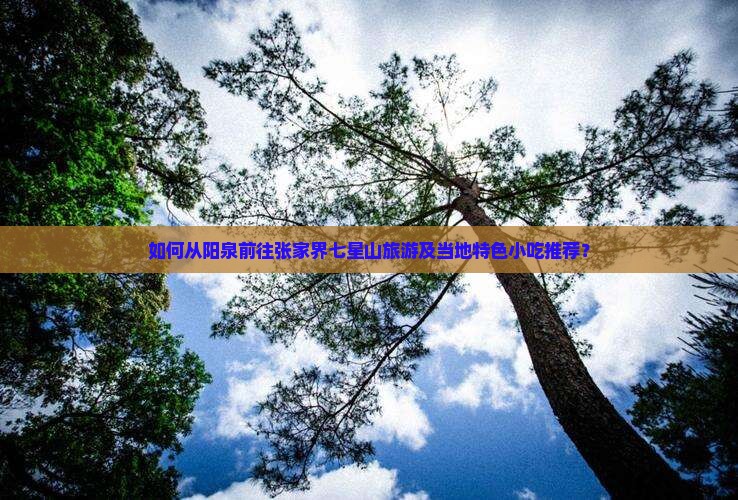 如何从阳泉前往张家界七星山旅游及当地特色小吃推荐? 如何从阳泉前往张家界七星山旅游及当地特色小吃推荐?