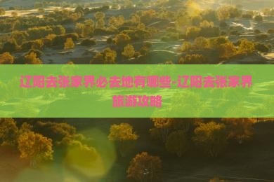 辽阳去张家界必去地有哪些-辽阳去张家界旅游攻略