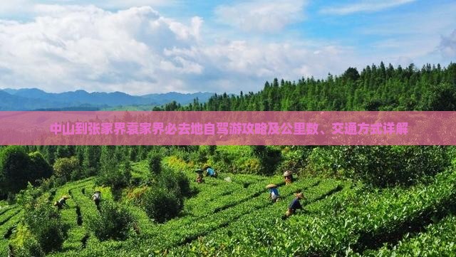 中山到张家界袁家界必去地自驾游攻略及公里数、交通方式详解