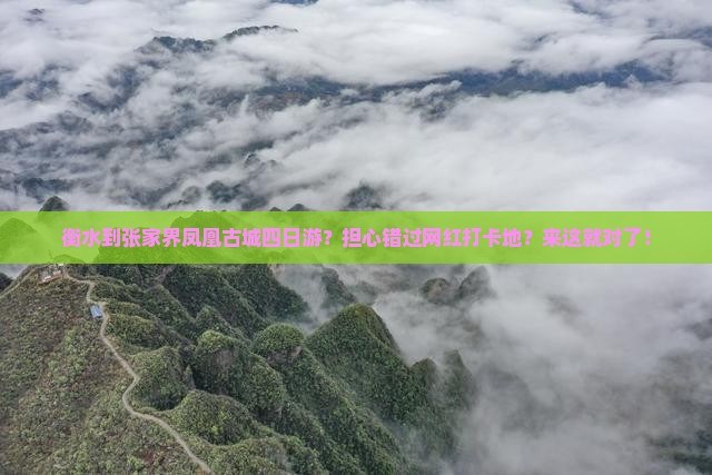 衡水到张家界凤凰古城四日游？担心错过网红打卡地？来这就对了！