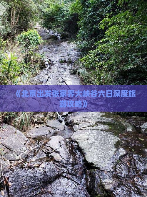 《北京出发张家界大峡谷六日深度旅游攻略》
