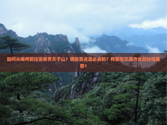 如何从梅州前往张家界天子山？哪些景点是必去的？有哪些交通方式和住宿推荐？