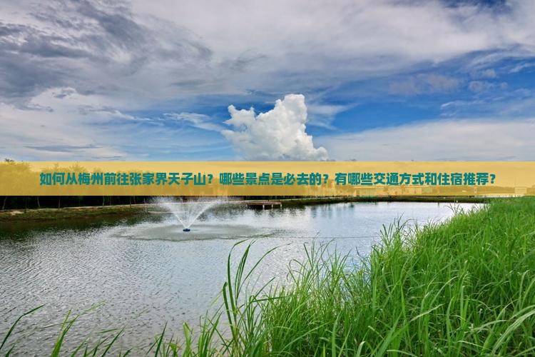 如何从梅州前往张家界天子山？哪些景点是必去的？有哪些交通方式和住宿推荐？