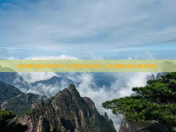 如何规划五月张家界天子山四日游以避开人流高峰和提升旅行体验？