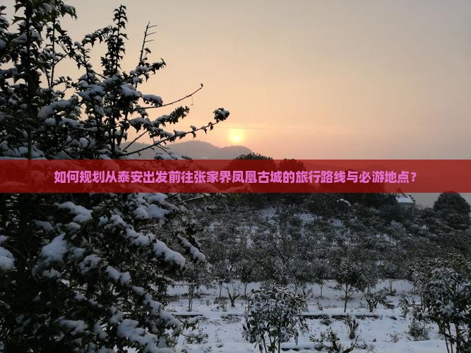如何规划从泰安出发前往张家界凤凰古城的旅行路线与必游地点？