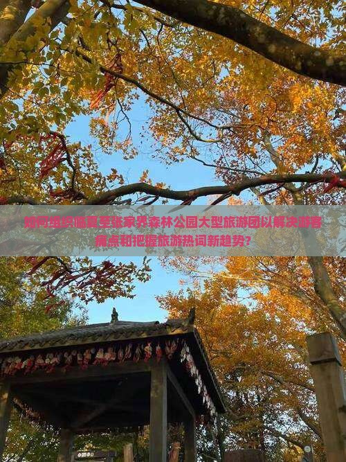 如何组织临夏至张家界森林公园大型旅游团以解决游客痛点和把握旅游热词新趋势？