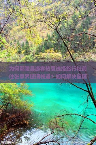 为何鄢陵县游客热衷选择旅行社前往张家界玻璃栈道？如何解决玻璃栈道旅游的痛点问题？