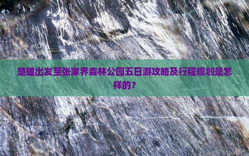 楚雄出发至张家界森林公园五日游攻略及行程规划是怎样的？