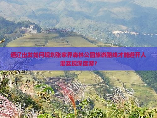 通辽出发如何规划张家界森林公园旅游路线才能避开人潮实现深度游？